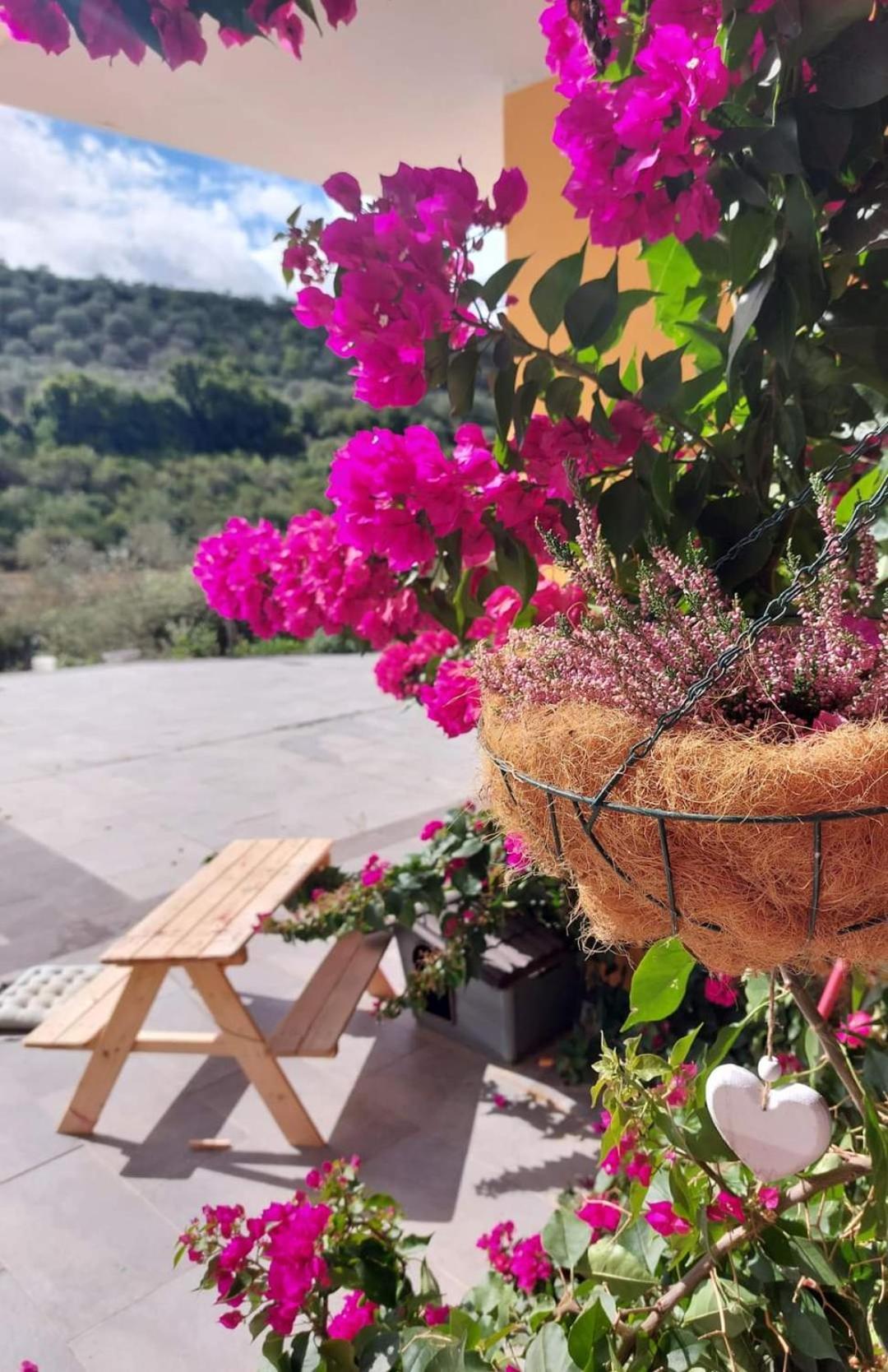 Villa I Sogni Sennori Exteriér fotografie